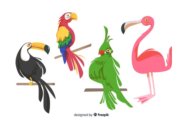Colección pájaros exóticos estilo plano