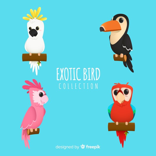 Colección pájaros exóticos estilo plano