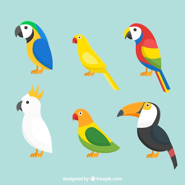 Vector gratuito colección de pájaros exóticos planos