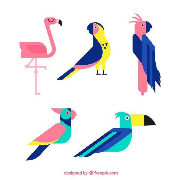 Colección de pájaros exóticos planos