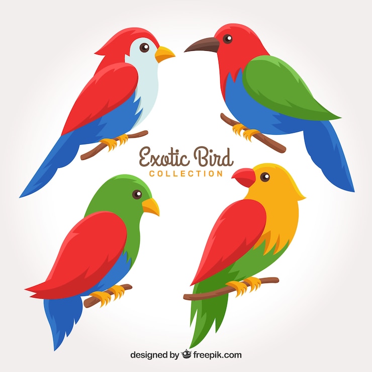 Vector gratuito colección de pájaros exóticos planos
