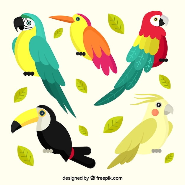 Vector gratuito colección de pájaros exóticos planos