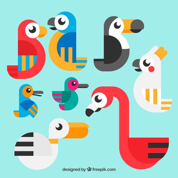 Colección de pájaros exóticos planos