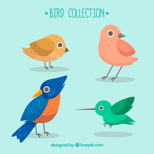 Vector gratuito colección de pájaros hechos a mano