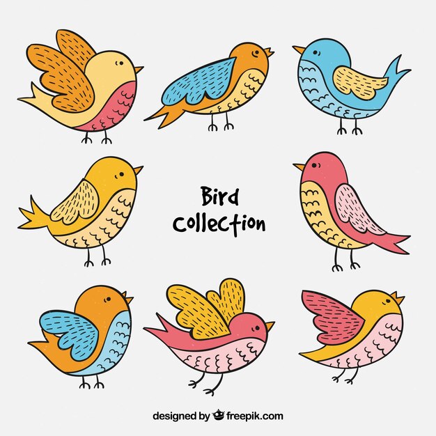 Colección de pájaros hechos a mano