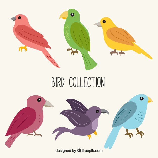 Colección de pájaros hechos a mano