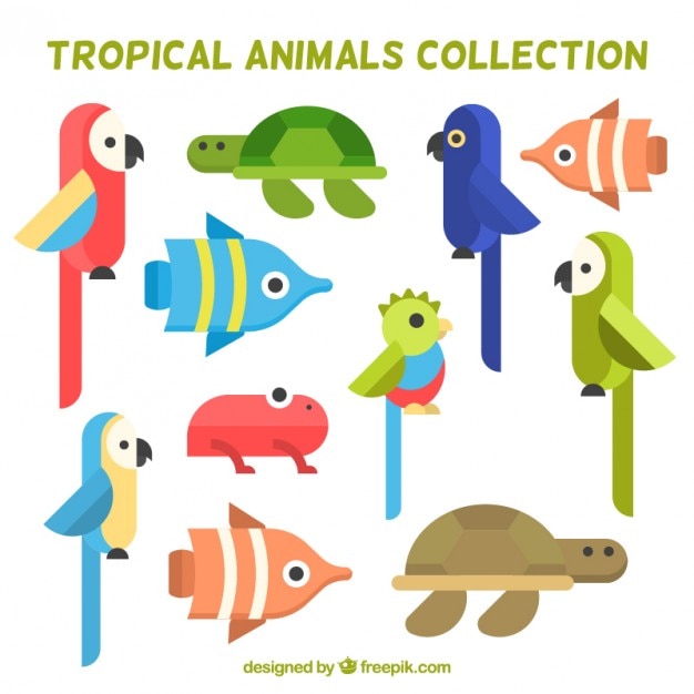 Vector gratuito colección de pájaros planos y animales tropicales