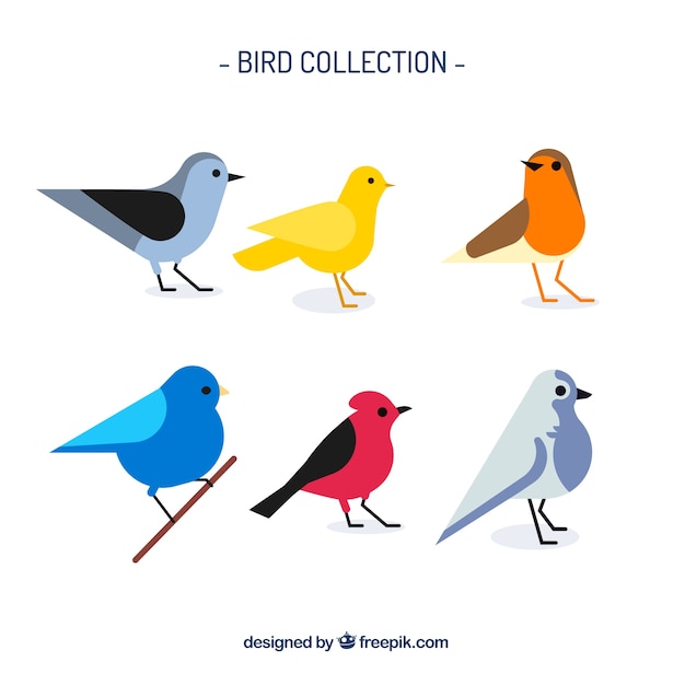 Vector gratuito colección de pájaros planos