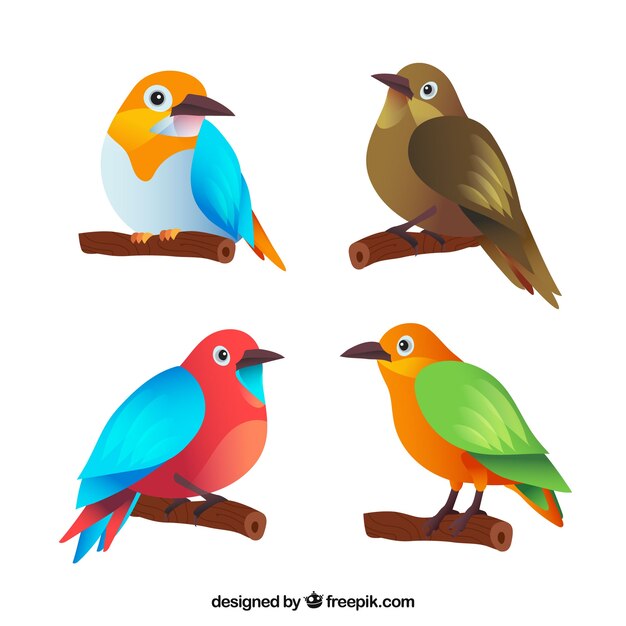 Colección de pájaros planos