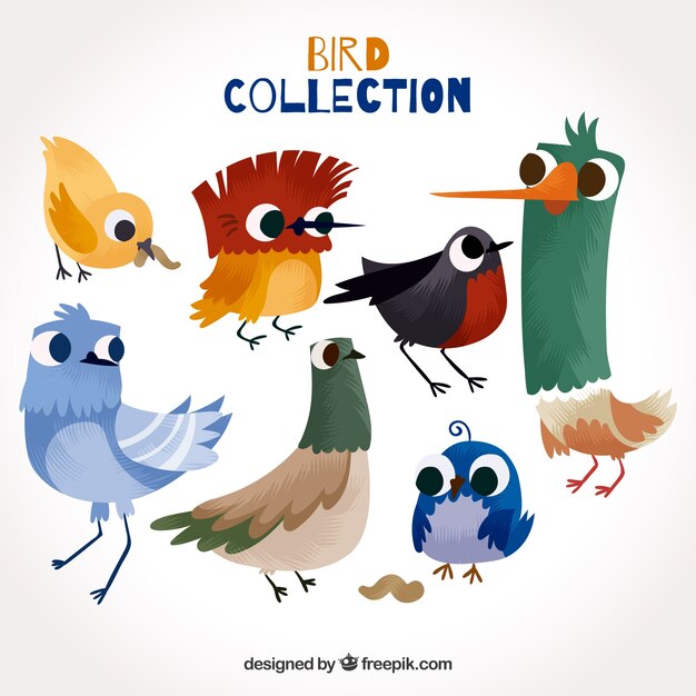 Colección de pájaros planos