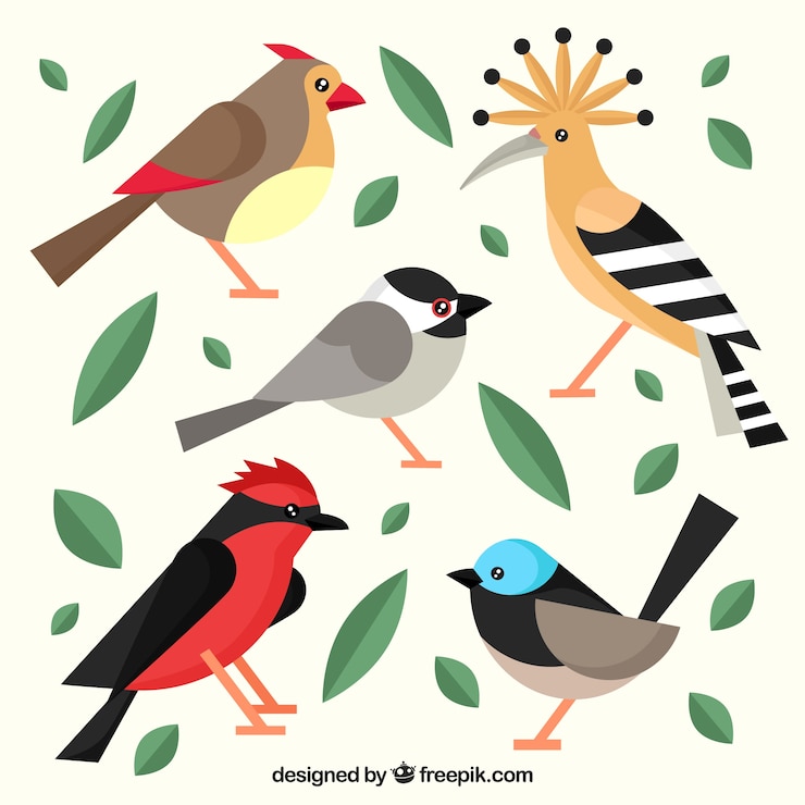 Vector gratuito colección de pájaros planos