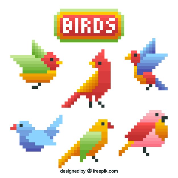 Colección de pájaros planos