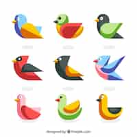 Vector gratuito colección de pájaros planos