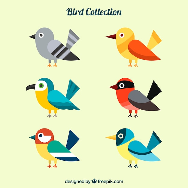 Vector gratuito colección de pájaros planos