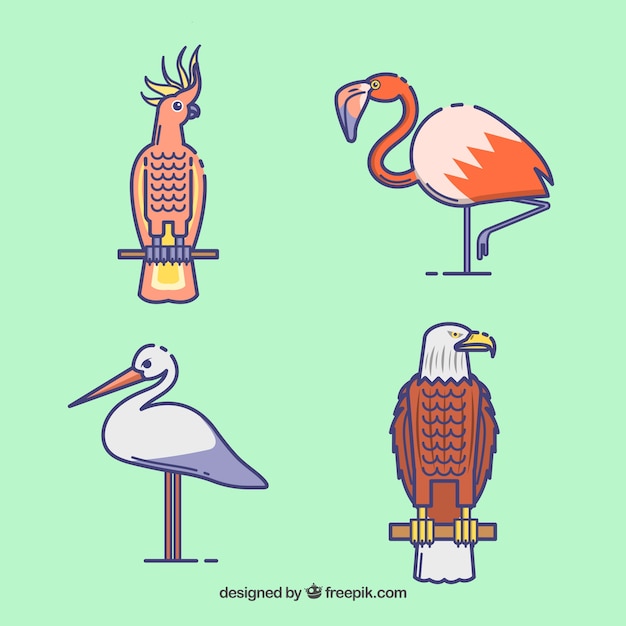 Colección de pájaros planos