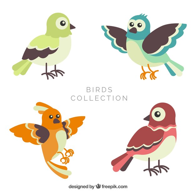 Colección de pájaros planos