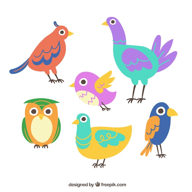 Vector gratuito colección de pájaros planos