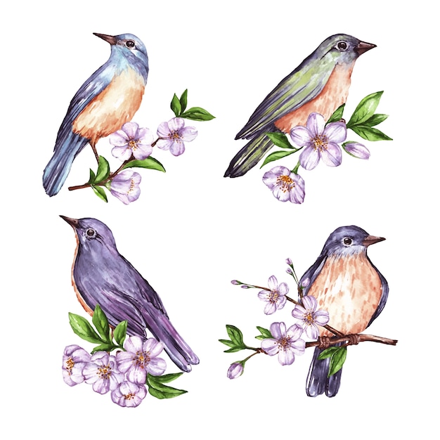 Colección de pájaros de primavera en acuarela