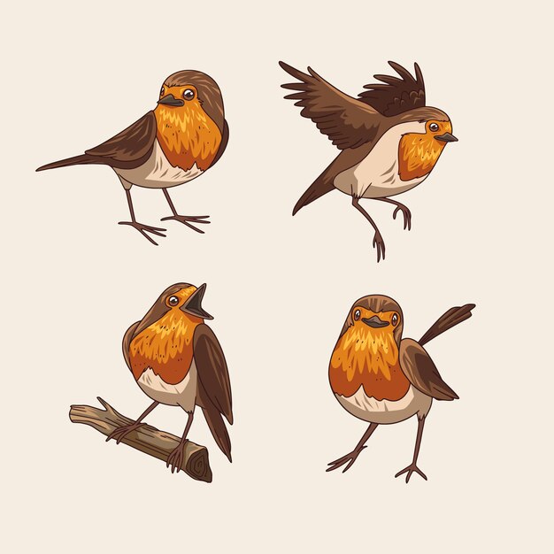 Colección de pájaros robin dibujados a mano