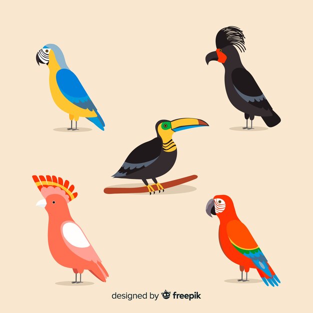 Colección de pájaros salvajes tropicales exóticos