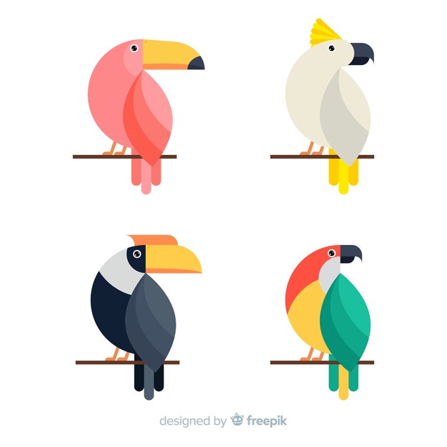 Colección de pájaros salvajes tropicales exóticos