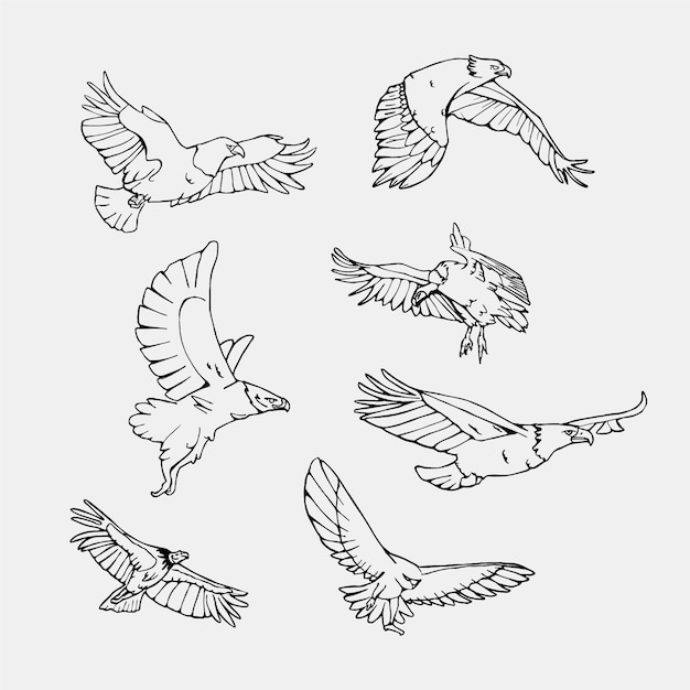 Vector gratuito colección de pájaros volando dibujados a mano