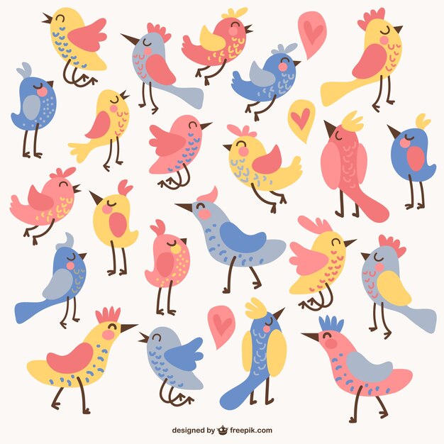 Colección de pájaros