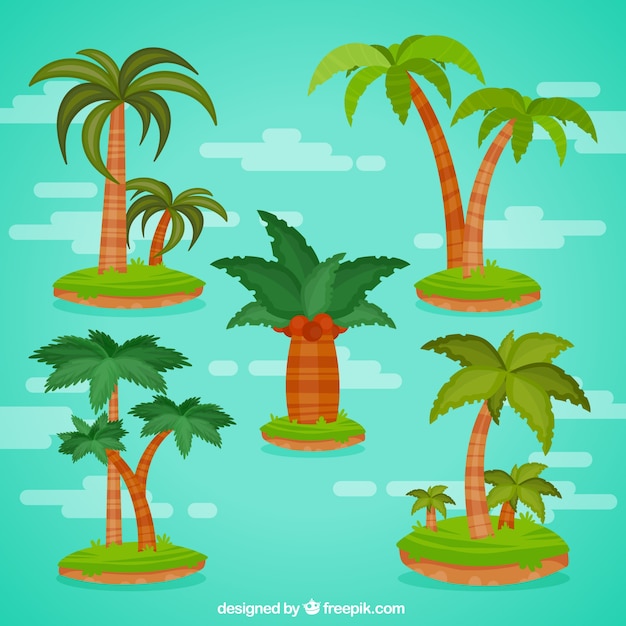 Vector gratuito colección de palmeras en diseño plano