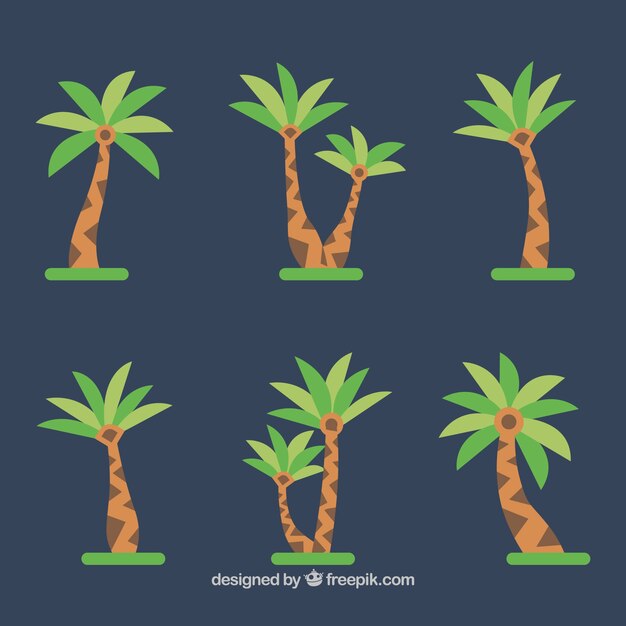 Colección de palmeras en diseño plano