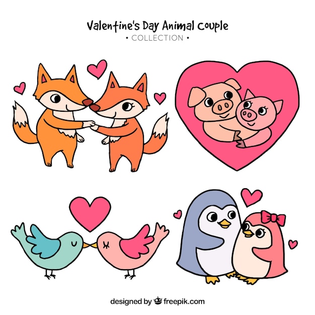 Colección de parejas de animales de san valentín dibujadas a mano