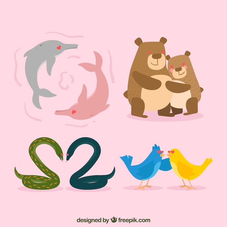Vector gratuito colección parejas de animales san valentín