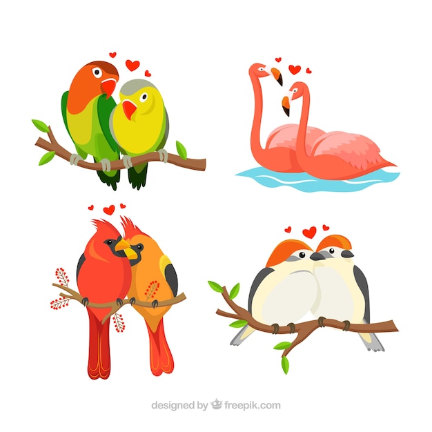 Colección de parejas de pájaros para san valentin