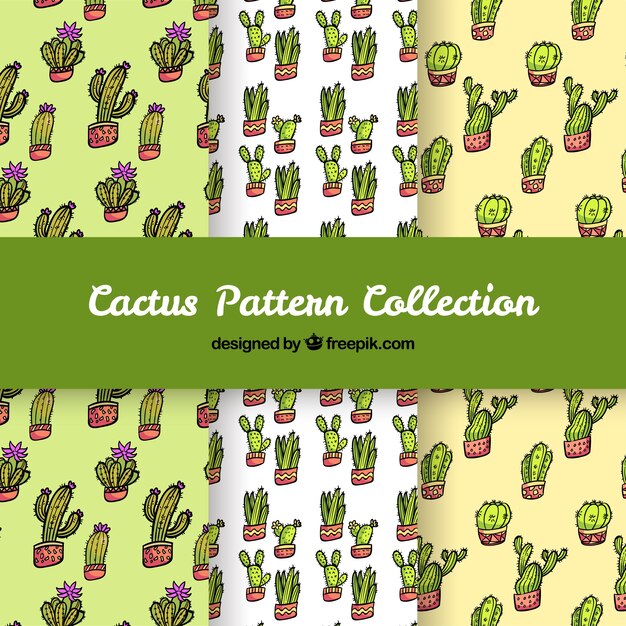 Colección de patrones de cactus bonitos