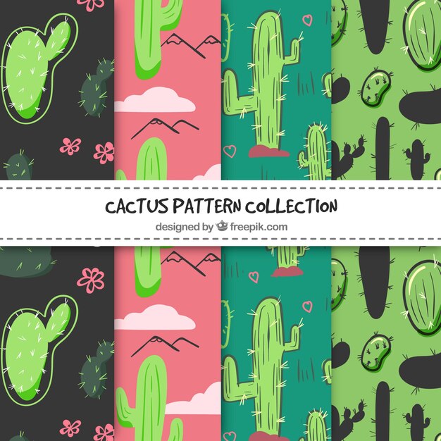 Colección de patrones de cactus