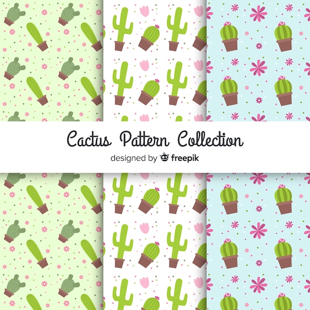 Colección de patrones de cactus