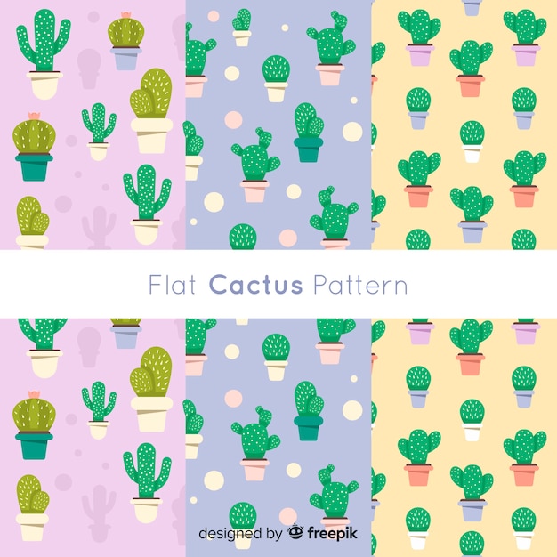 Colección de patrones de cactus