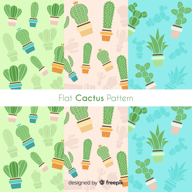 Colección de patrones de cactus