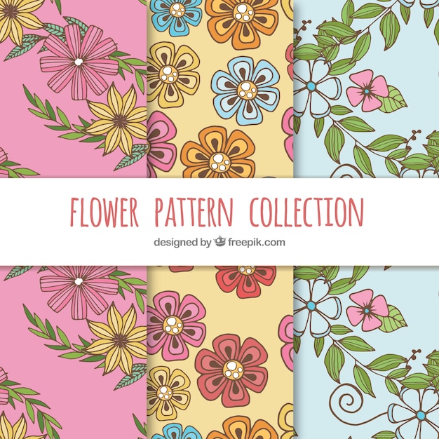 Vector gratuito colección de patrones coloridos de flores