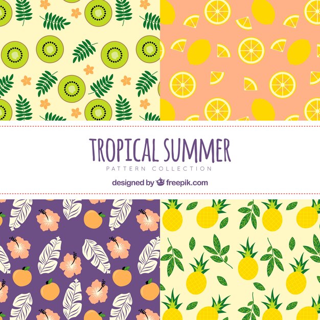Colección de patrones decorativos de verano con frutas