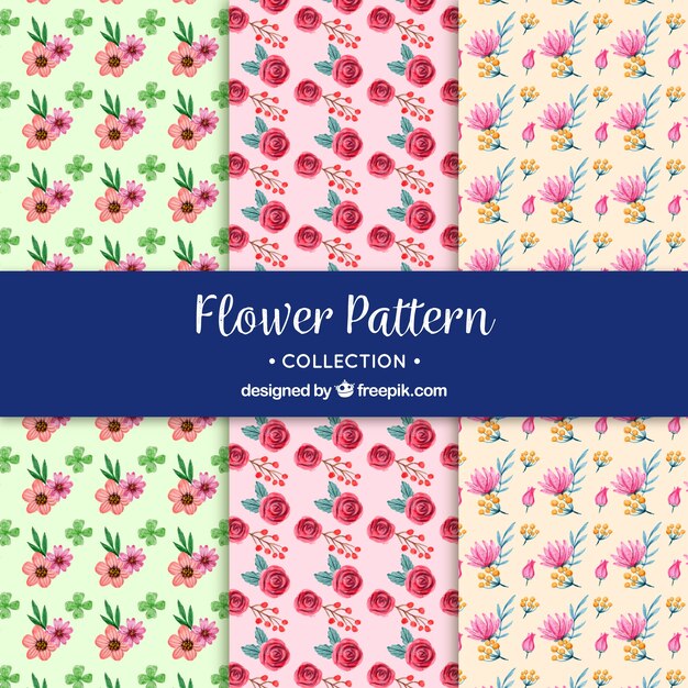 Colección de patrones de flores con diferentes colores