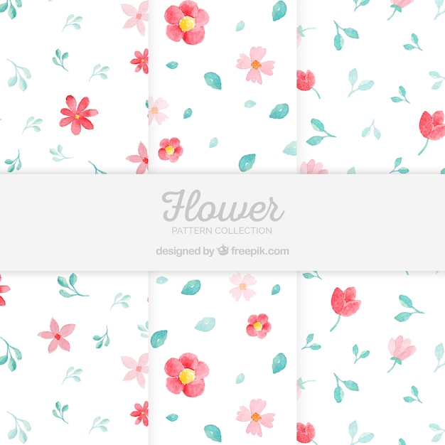 Colección de patrones de flores en estilo acuarela