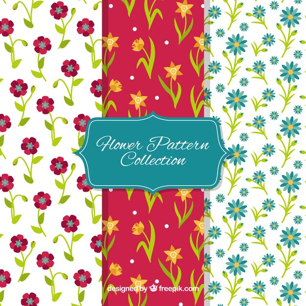 Colección de patrones de flores en estilo plano