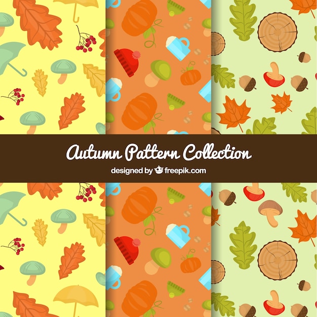 Colección de patrones modernos de otoño
