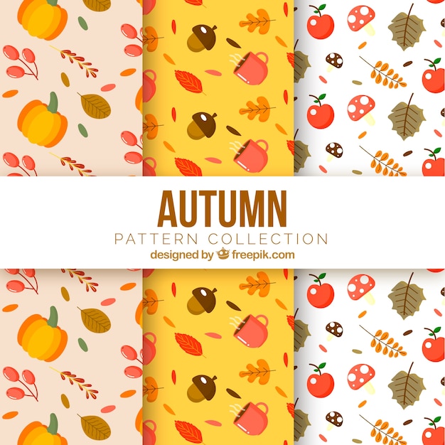 Colección de patrones de otoño adorable con elementos