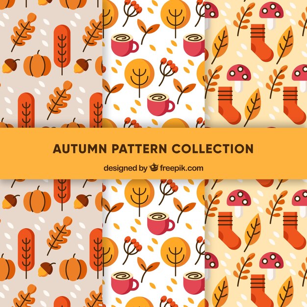 Colección de patrones de otoño adorable con elementos