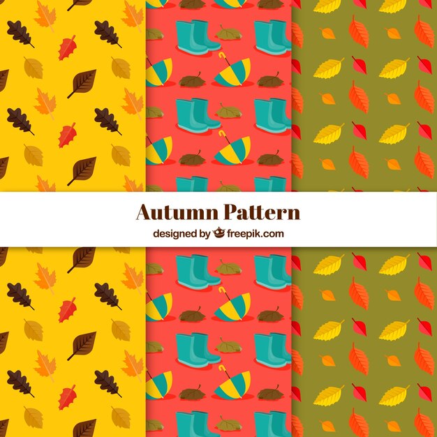 Colección de patrones de otoño adorables con elementos