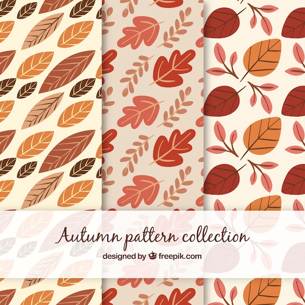 Colección de patrones de otoño dibujados a mano