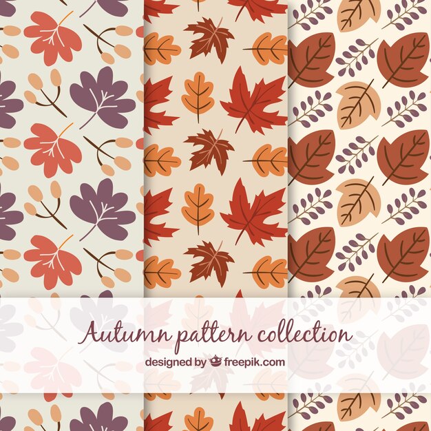 Colección de patrones de otoño dibujados a mano