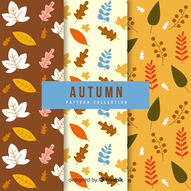 Colección de patrones de otoño dibujados a mano