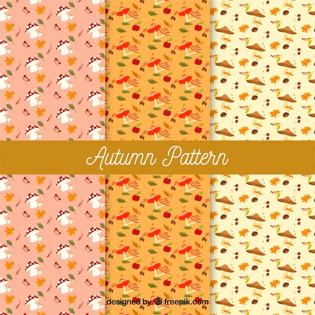 Colección de patrones de otoño con elementos